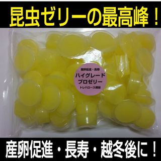 極上ハイグレードプロゼリー【50個】特殊アミノ酸強化！産卵促進・長寿・体力増進(虫類)