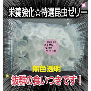 極上ハイグレードプロゼリー【50個】特殊アミノ酸強化！産卵促進・長寿・体力増進(虫類)