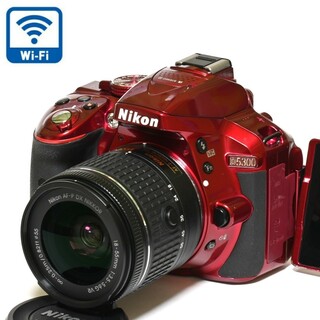 ニコン(Nikon)の【Nikon】Wi-Fi機能搭載&自撮り★D5300レンズセット(デジタル一眼)