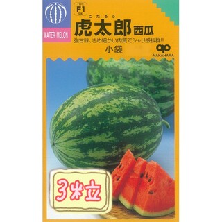 野菜の種【中玉スイカ】虎太郎①(フルーツ)