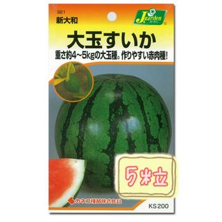 野菜の種【大玉スイカ】新大和①(フルーツ)