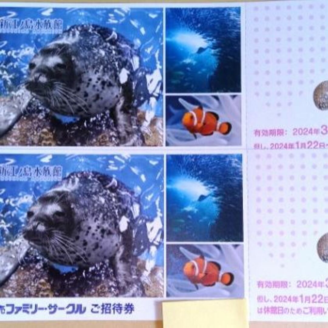 ■新江ノ島水族館 招待券　～2024.3.31★2枚（ペア）■ チケットの施設利用券(水族館)の商品写真