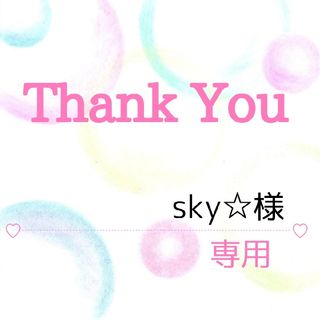 sky☆様専用(その他)