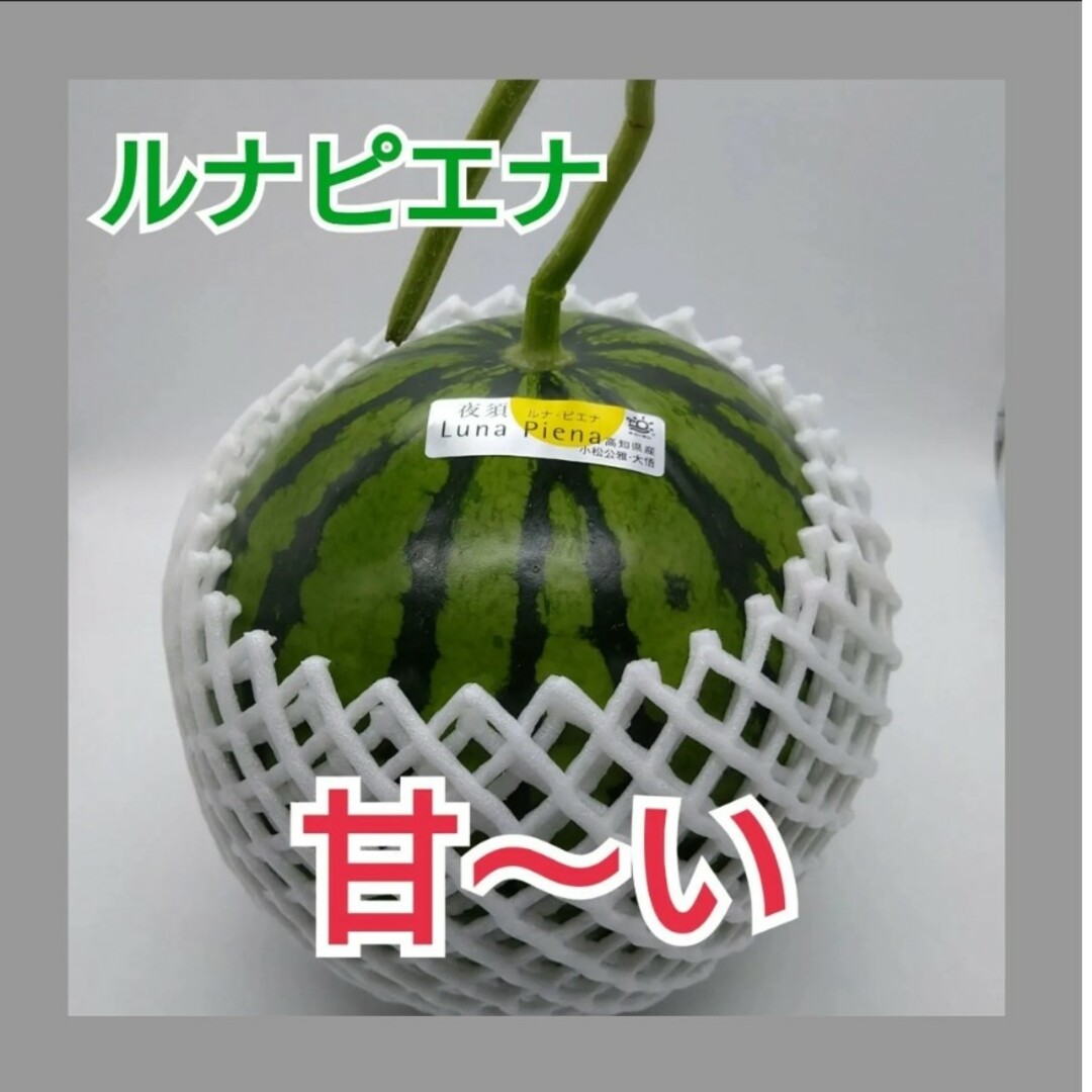 高知県産【ルナピエナすいか】高糖度 とにかく甘いサクサク  小玉 食品/飲料/酒の食品(フルーツ)の商品写真