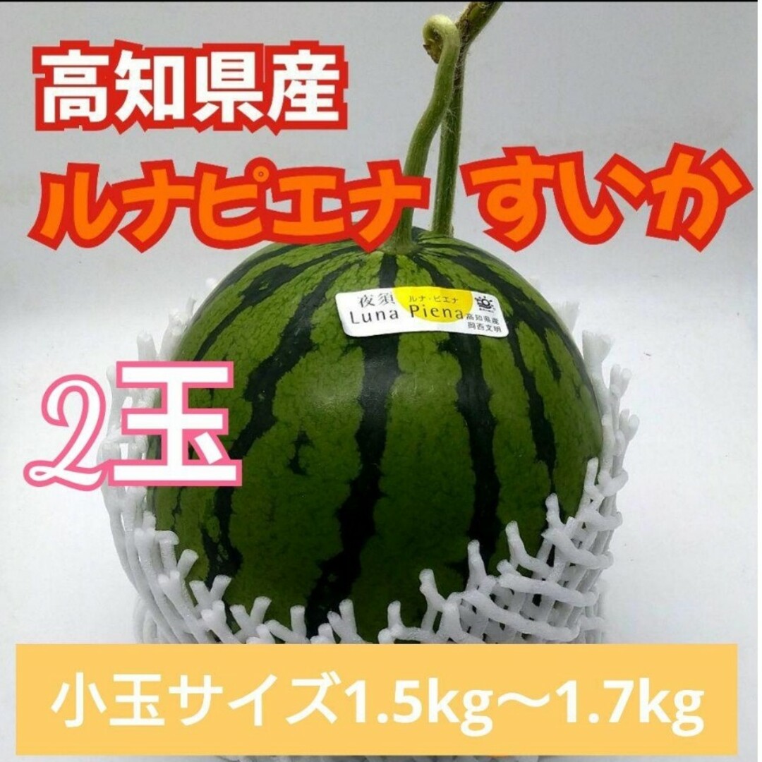 高知県産【ルナピエナすいか】高糖度 とにかく甘いサクサク  小玉 食品/飲料/酒の食品(フルーツ)の商品写真