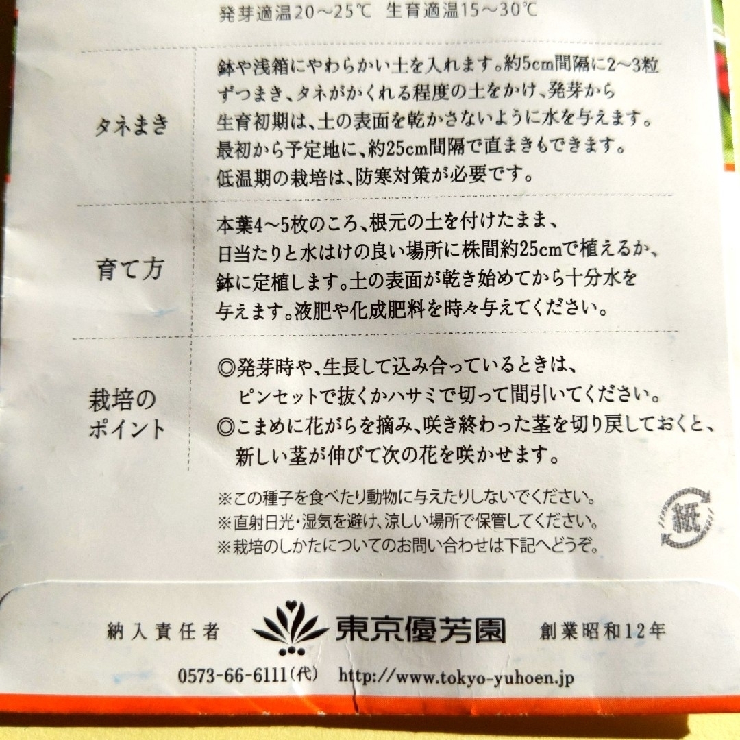 百日草 ジニア 種 ハンドメイドのフラワー/ガーデン(その他)の商品写真