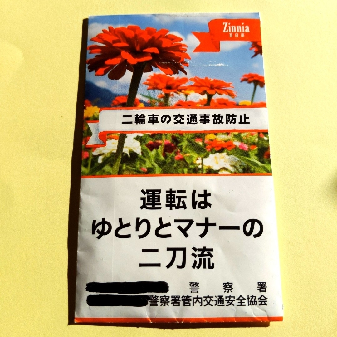 百日草 ジニア 種 ハンドメイドのフラワー/ガーデン(その他)の商品写真