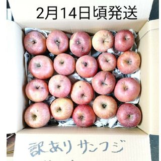 本州、四国宛配送限定　信州産　訳ありサンふじ　約5キロ(フルーツ)