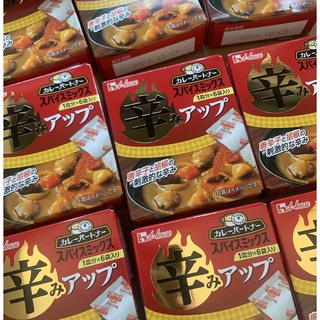 ハウスショクヒン(ハウス食品)のカレーパートナー　辛みアップ　ハウス食品(調味料)