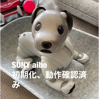ソニー(SONY)のSONY aibo ERS-1000 (その他)