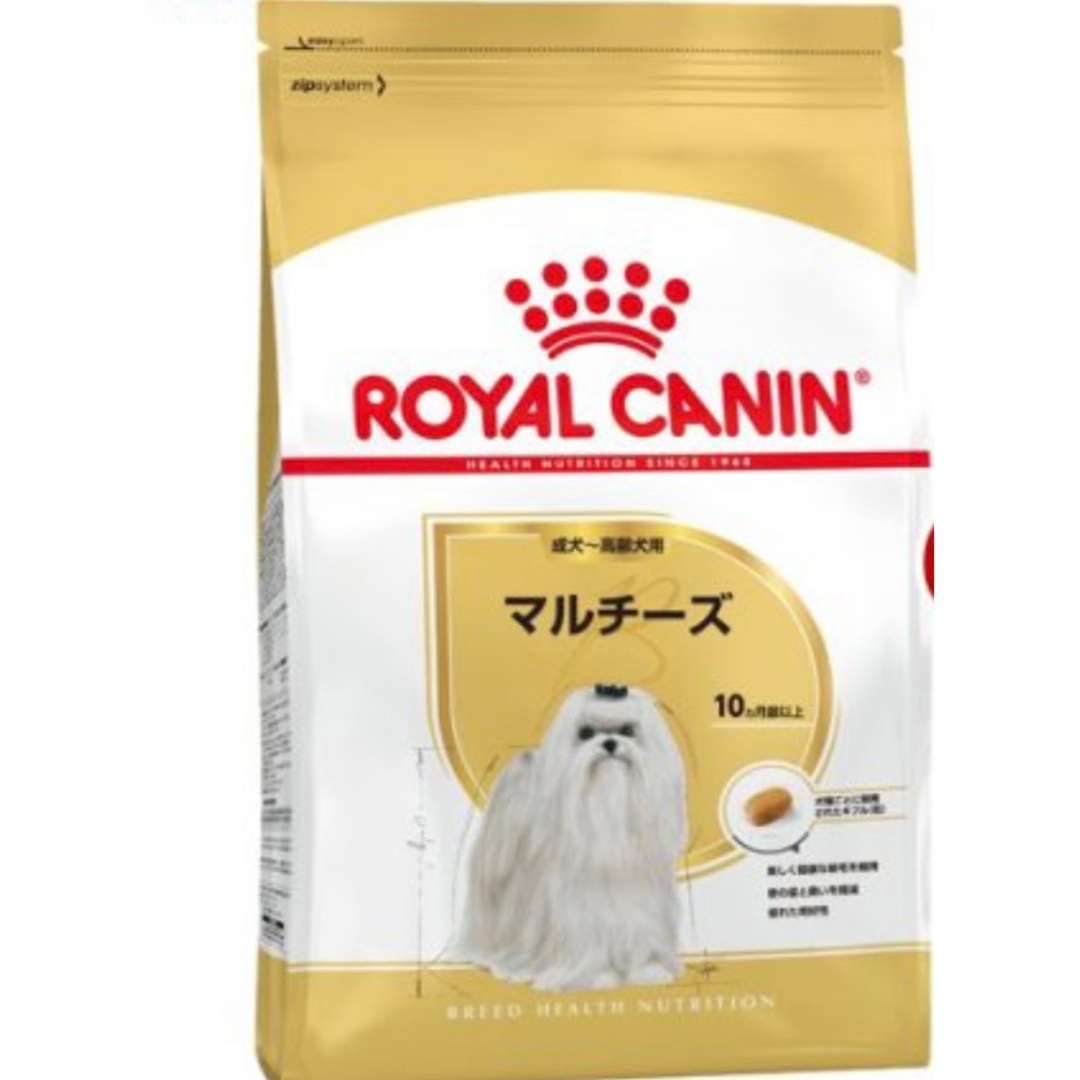  CANIN - BHN マルチーズセイケン 1.5kg/4