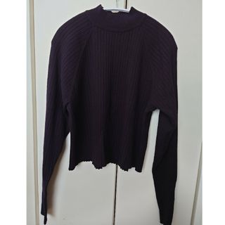 ザラ(ZARA)のZARAショート丈ニット♪マウジー、ローズバッド、SHIPS、イエナ系(ニット/セーター)