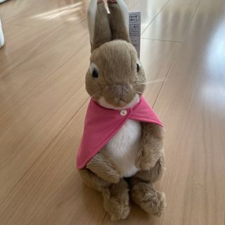 ピーターラビット(PETER RABBIT（TM）)のピーターラビット　ぬいぐるみ(ぬいぐるみ)