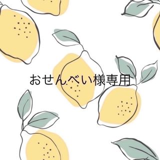 おせんべい様専用ページ(スタイ/よだれかけ)