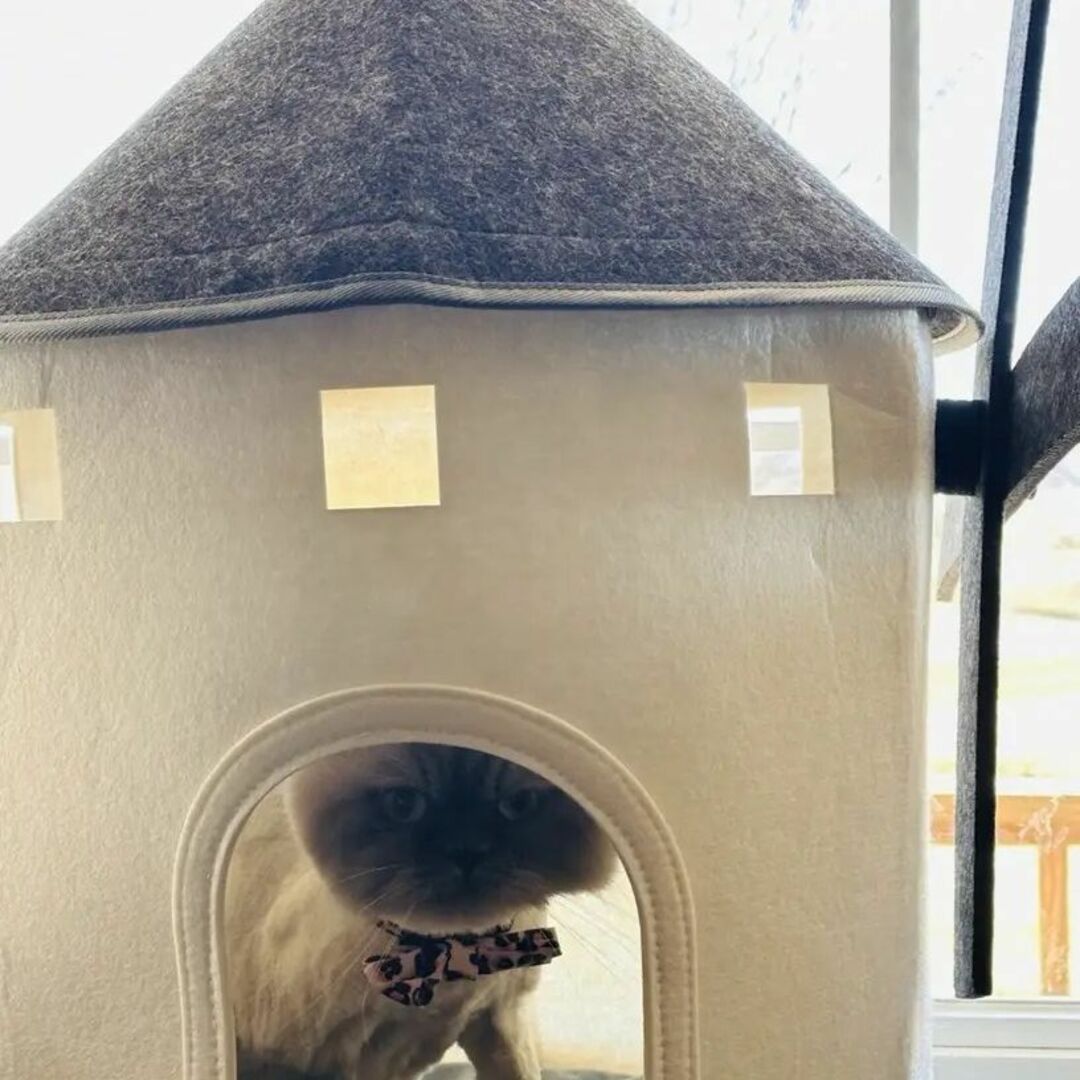 ペットハウス 猫ハウス 北欧風 おしゃれ 小型犬 猫ベッド 室内用 ペットハウス 猫ハウス 北欧風 おしゃれ 小型犬 猫ベッド 室内用