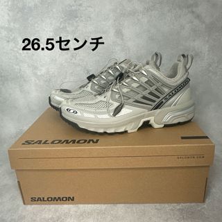 サロモン(SALOMON)のSalomon サロモン ACS PRO スニーカー シルバー 26.5センチ(スニーカー)