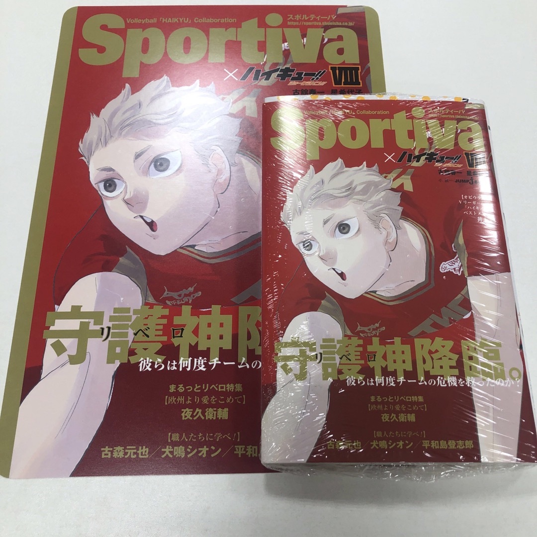 ハイキューショーセツバン/Sportiva/アニメイト特典ビジュアルボード13