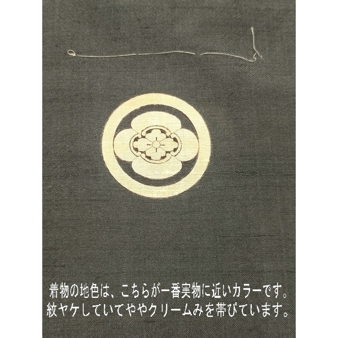 【中古】 紋付着物 男物 正絹 ブルーグレーの紬 三つ紋付 裄66 Sサイズ リサイクル 袷着物   メンズの水着/浴衣(着物)の商品写真