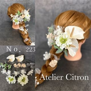 髪飾り 結婚式 成人式 アンスリウム ハワイアン ヘアアクセサリー (ヘッドドレス/ドレス)