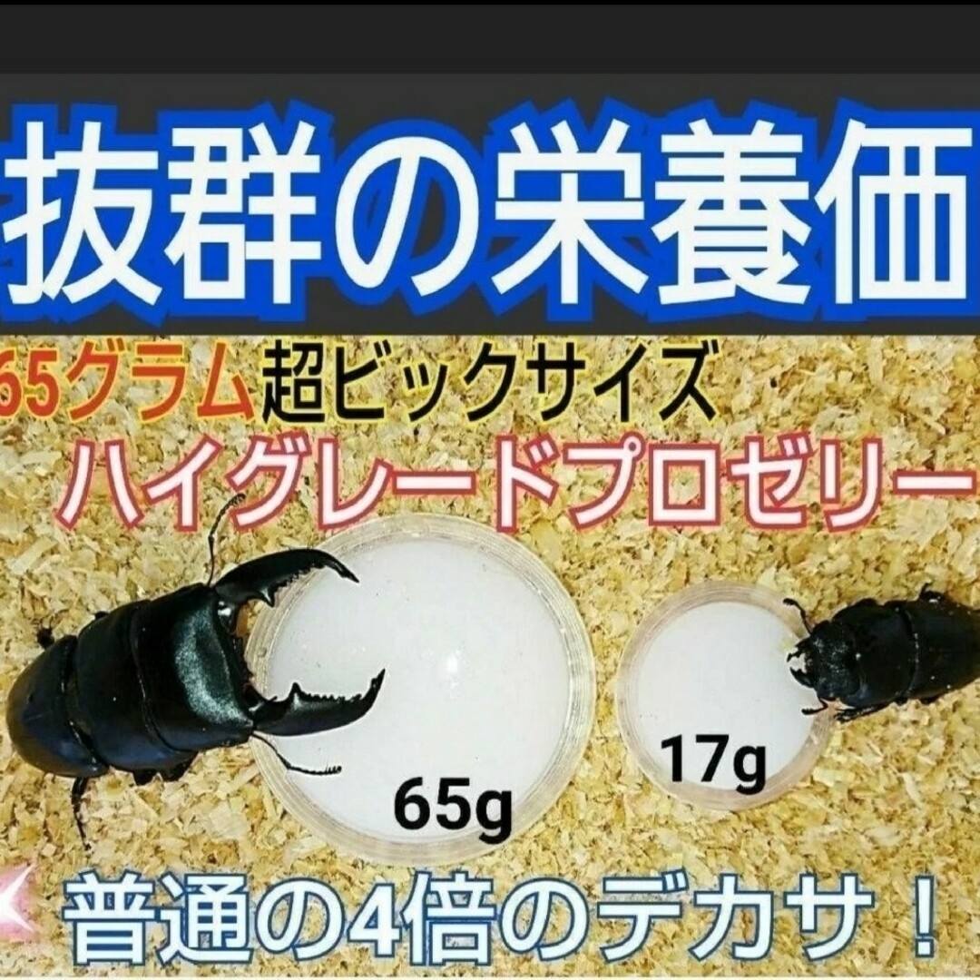 超ビックサイズ　特大65g【30個】ハイグレードカブトムシ・クワガタゼリー その他のペット用品(虫類)の商品写真