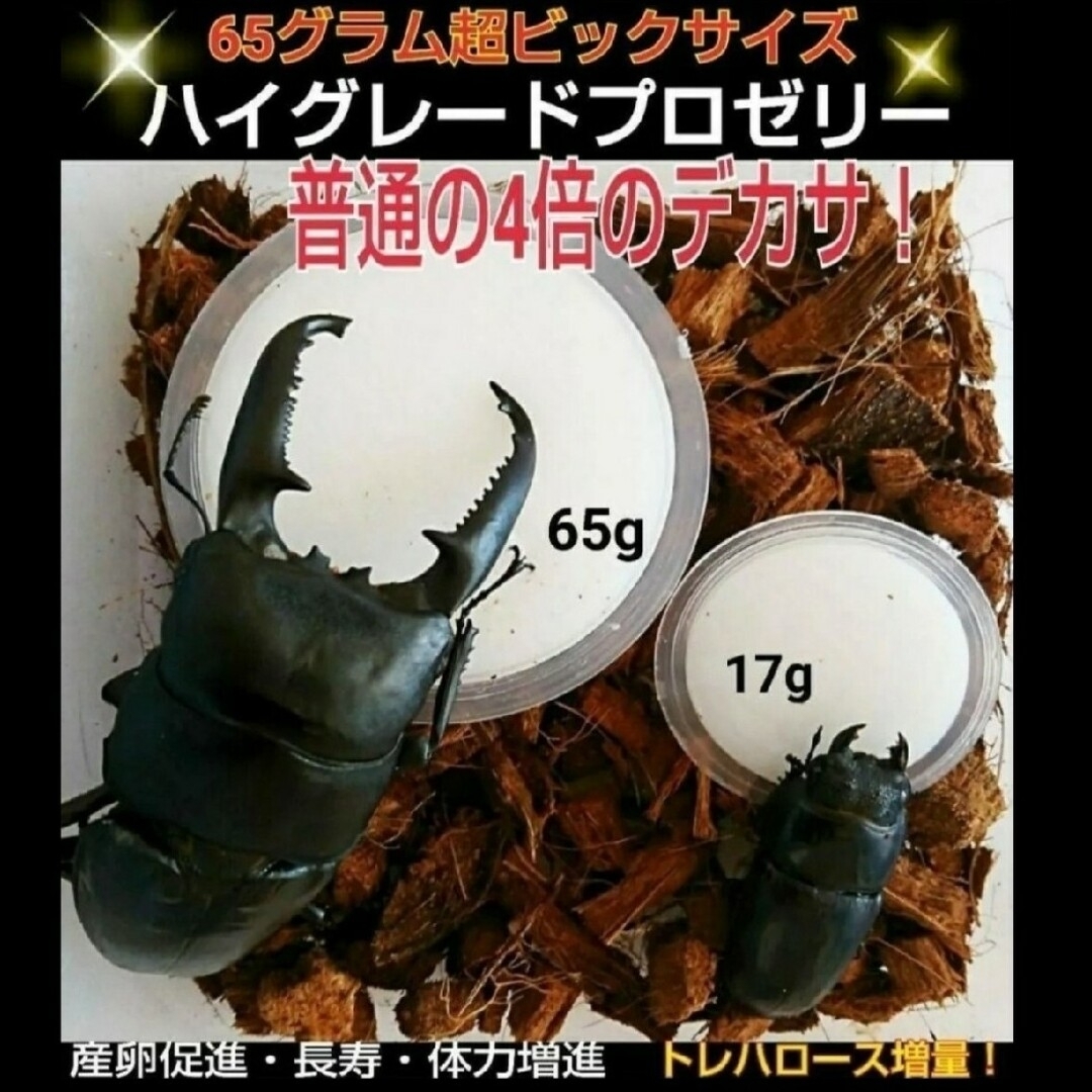 超ビックサイズ　特大65g【30個】ハイグレードカブトムシ・クワガタゼリー その他のペット用品(虫類)の商品写真