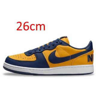 ナイキ(NIKE)のNIKE TERMINATOR LOW OG “MICHIGAN”(スニーカー)