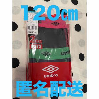 グンゼ(GUNZE)の【新品未使用】UMBRO アンブロ 120cm 2枚組 男児 ボクサーブリーフ (下着)