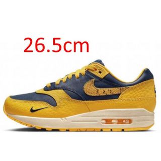 ナイキ(NIKE)のNIKE WMNS AIR MAX 1 PRM "CO JP"(スニーカー)