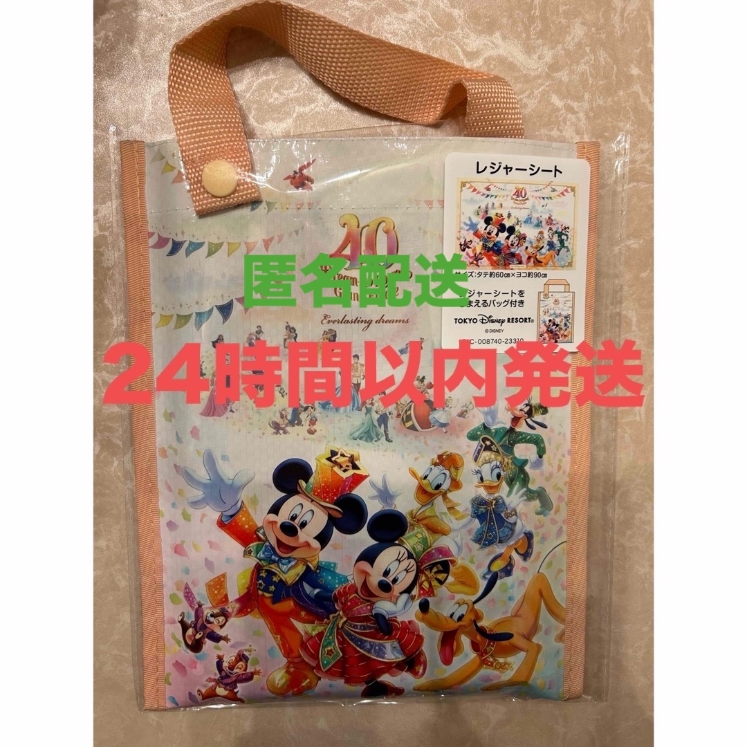 Disney(ディズニー)のディズニー　グランドフィナーレ　40周年 レジャーシート　 エンタメ/ホビーのおもちゃ/ぬいぐるみ(キャラクターグッズ)の商品写真