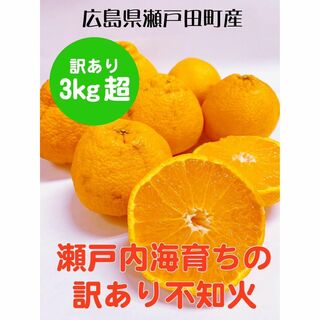 【広島県高根島産】デコポン3キロ〜　ご家庭用　訳あり品　3月初旬で終了(フルーツ)