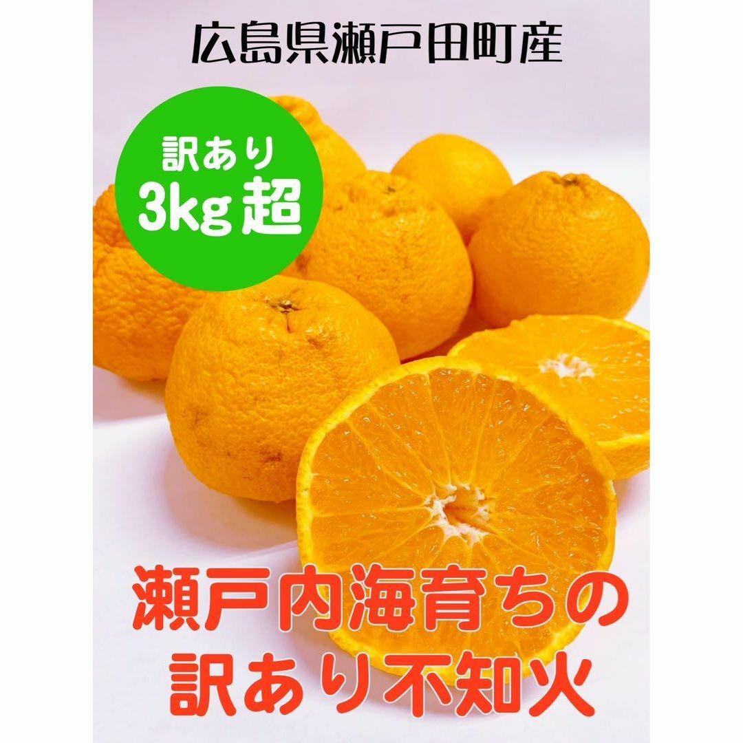 【広島県高根島産】デコポン3キロ〜　ご家庭用　訳あり品　3月初旬で終了 食品/飲料/酒の食品(フルーツ)の商品写真