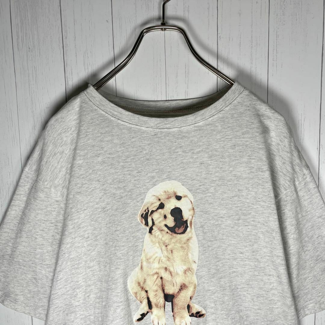 VINTAGE(ヴィンテージ)の[古着]ビンテージ　半袖　Tシャツ　犬　ゴールデンレトリバー　プリント　グレー メンズのトップス(Tシャツ/カットソー(半袖/袖なし))の商品写真