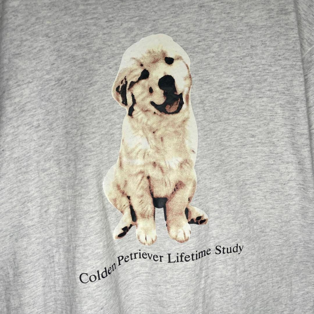 VINTAGE(ヴィンテージ)の[古着]ビンテージ　半袖　Tシャツ　犬　ゴールデンレトリバー　プリント　グレー メンズのトップス(Tシャツ/カットソー(半袖/袖なし))の商品写真