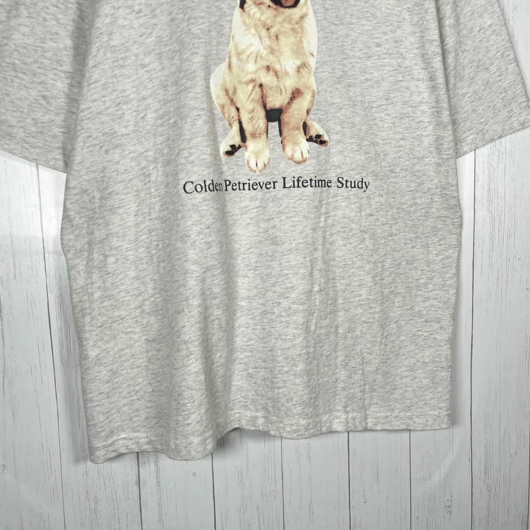 VINTAGE(ヴィンテージ)の[古着]ビンテージ　半袖　Tシャツ　犬　ゴールデンレトリバー　プリント　グレー メンズのトップス(Tシャツ/カットソー(半袖/袖なし))の商品写真