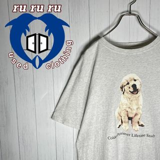 ヴィンテージ(VINTAGE)の[古着]ビンテージ　半袖　Tシャツ　犬　ゴールデンレトリバー　プリント　グレー(Tシャツ/カットソー(半袖/袖なし))