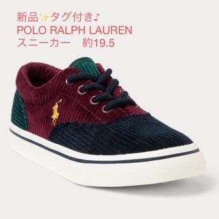 ポロラルフローレン(POLO RALPH LAUREN)の新品✨タグ付き♪ POLO RALPH LAUREN  キャンバス スニーカー(スニーカー)