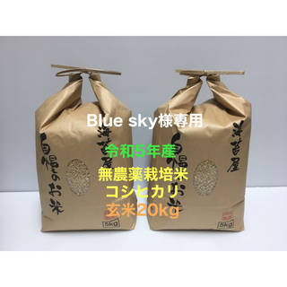 Blue sky様専用 無農薬コシヒカリ玄米20kg(5kg×4)令和5年産(米/穀物)