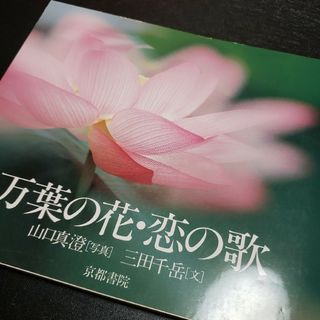 万葉の花・恋の歌/京都書院(人文/社会)