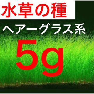 ほのパパ様専用 60cm 水槽用 LED 照明 アクシーエルティー600の