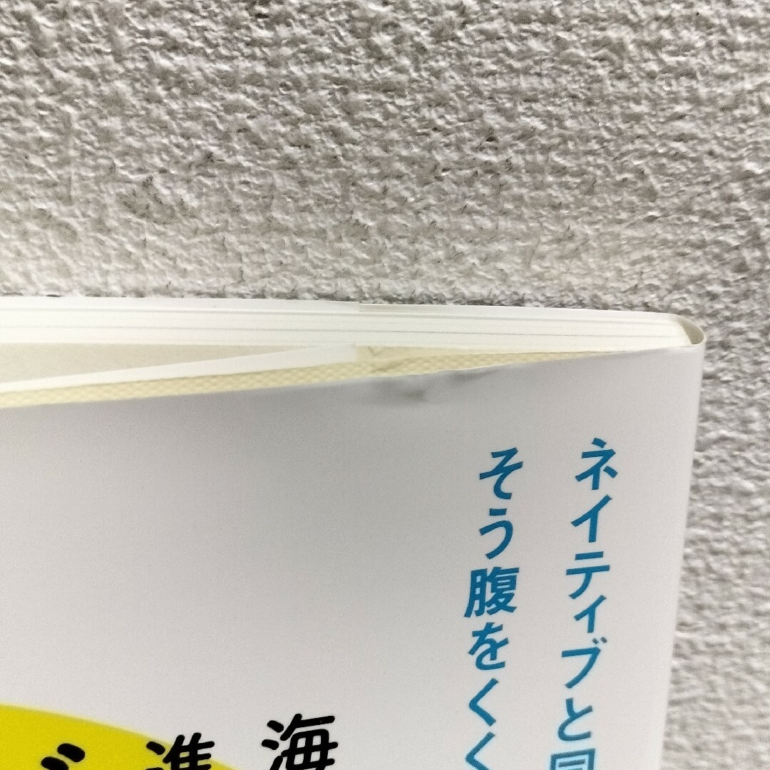 ポプラ社(ポプラシャ)の『 海外の大学に進学した人たちはどう英語を学んだのか 』◆ 加藤紀子 / 学習法 エンタメ/ホビーの本(ノンフィクション/教養)の商品写真