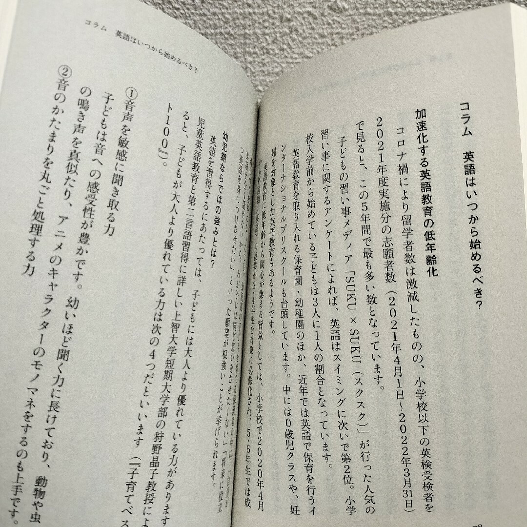 ポプラ社(ポプラシャ)の『 海外の大学に進学した人たちはどう英語を学んだのか 』◆ 加藤紀子 / 学習法 エンタメ/ホビーの本(ノンフィクション/教養)の商品写真