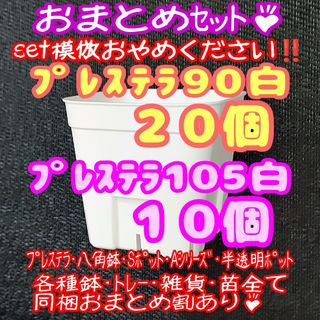 【スリット鉢】プレステラ90白20個・105白10個 多肉植物 プラ鉢(プランター)