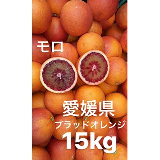 愛媛県産　ブラッドオレンジ　柑橘　15kg(フルーツ)