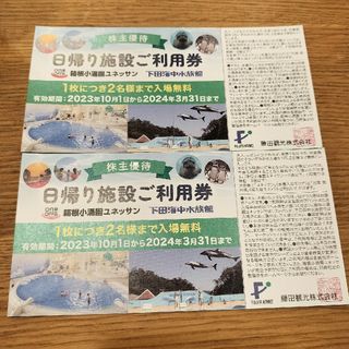 藤田観光株主優待 箱根ユネッサン 下田海中水族館２枚(その他)