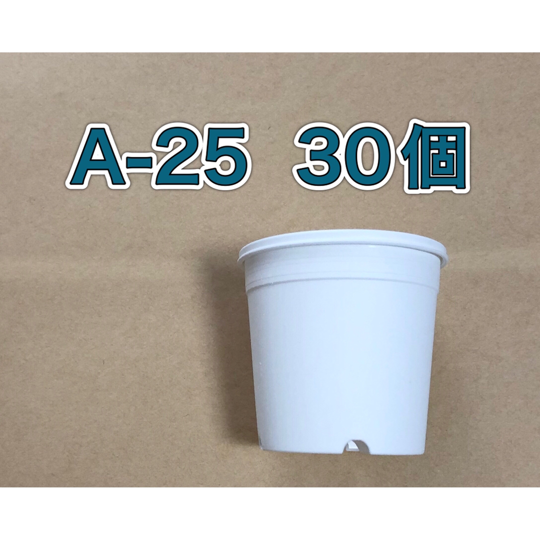 《A-25》白 30個 2.5号 丸型 スリット鉢 プラ鉢 多肉植物 ハンドメイドのフラワー/ガーデン(プランター)の商品写真