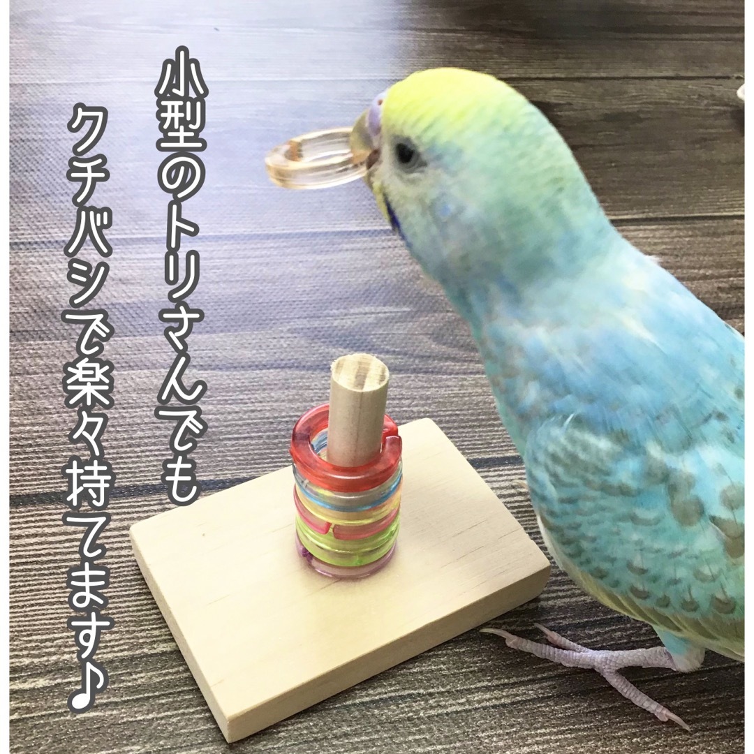 ひのきのわなげ★インコや文鳥の小鳥のハンドメイドおもちゃ　バードトイ　輪投げ ハンドメイドのペット(おもちゃ/ペット小物)の商品写真