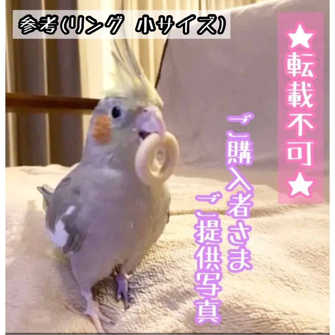 お試しわなげ★インコや文鳥の小鳥のハンドメイドおもちゃ　バードトイ　輪投げ ハンドメイドのペット(おもちゃ/ペット小物)の商品写真