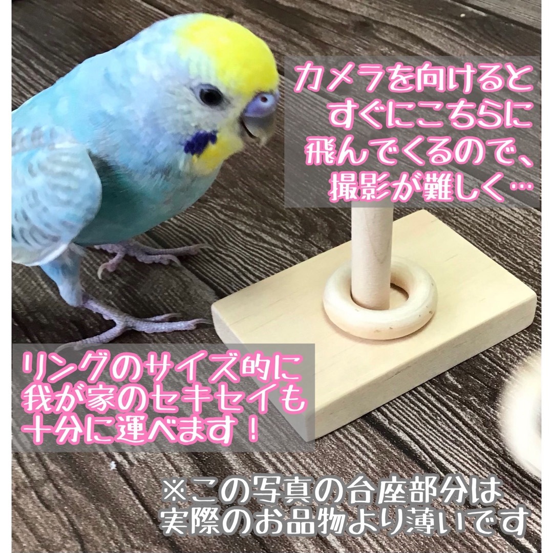 お試しわなげ★インコや文鳥の小鳥のハンドメイドおもちゃ　バードトイ　輪投げ ハンドメイドのペット(おもちゃ/ペット小物)の商品写真