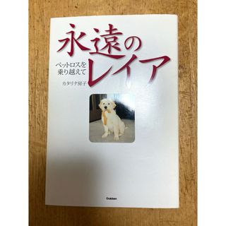 ガッケン(学研)の永遠のレイア(その他)