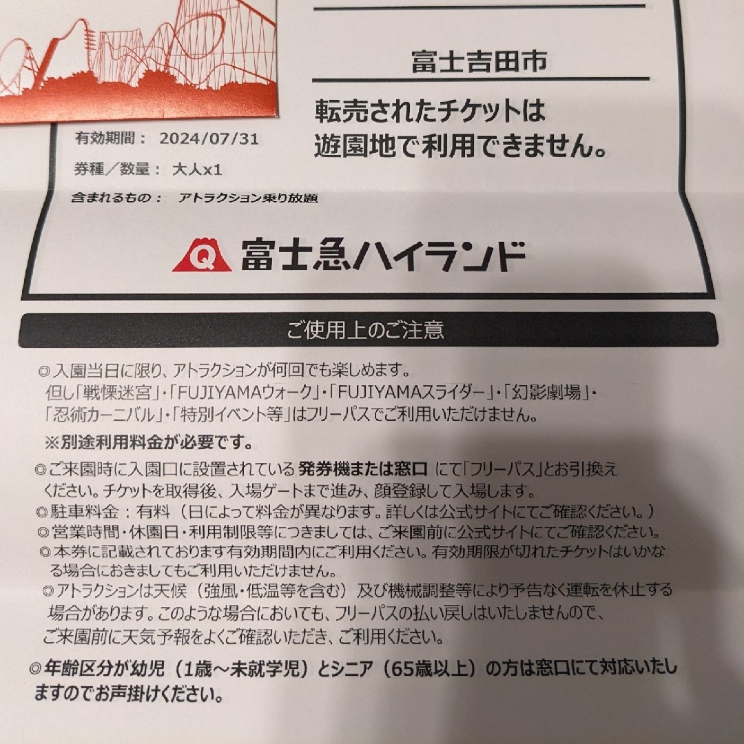 有効期限2023年12月31日【富士急ハイランド】フリーパス2枚  ペアチケット